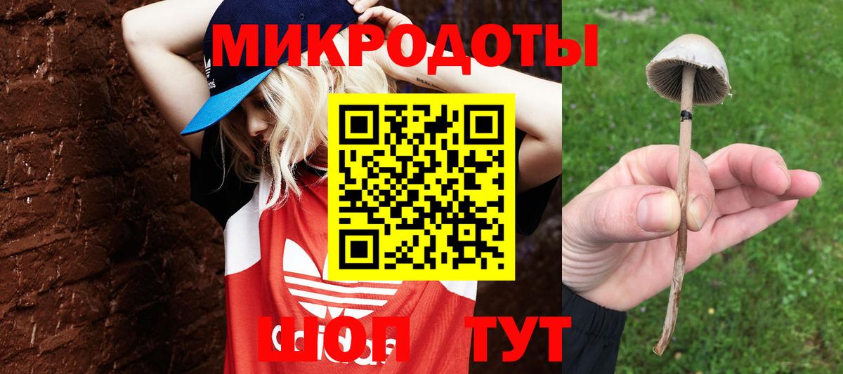 Псилоцибиновые грибы Cubensis  Вход с VPN  Когалым 